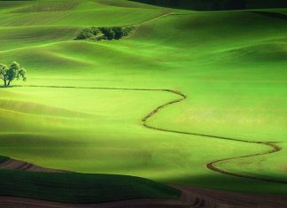 Traveler Photo Contest 2013 – National Geographic