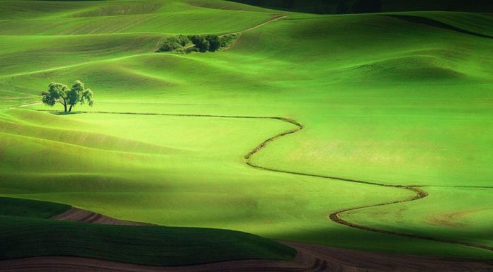 Traveler Photo Contest 2013 – National Geographic