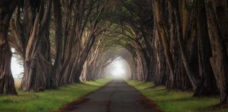 Some of the best Google+ photography – Part 2