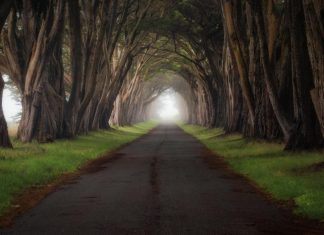 Some of the best Google+ photography – Part 2