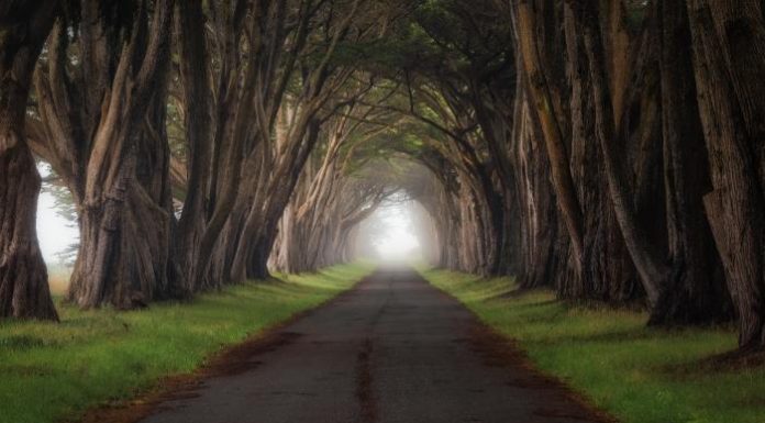 Some of the best Google+ photography – Part 2