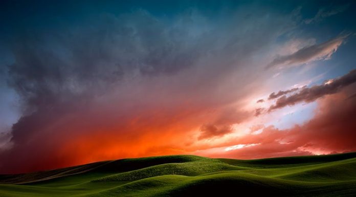 Amazing Abstract Landscapes by Lisa Wood