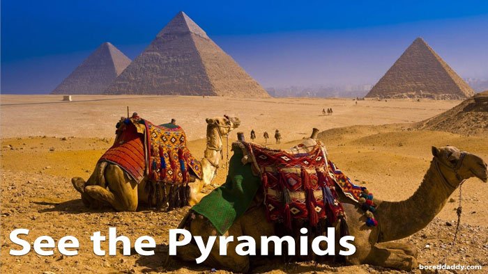 See the Pyramids in Egypt