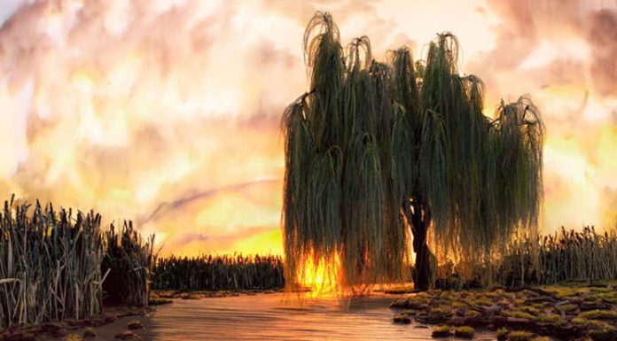 DON’T BELIEVE YOUR EYES