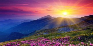 8 Good Morning Questions that Create Happiness