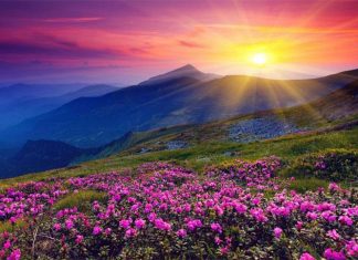 8 Good Morning Questions that Create Happiness