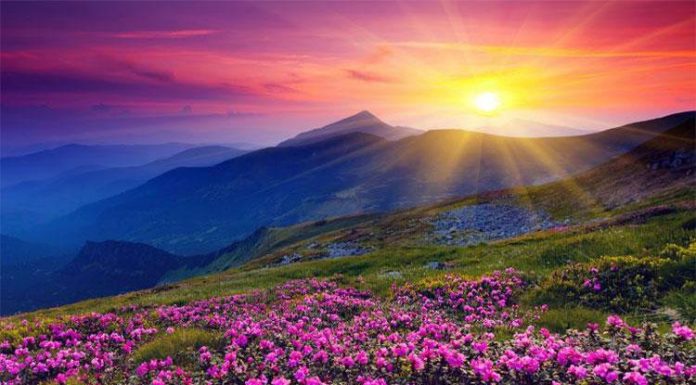 8 Good Morning Questions that Create Happiness