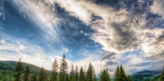 18 Breathtaking Photos Of Wild Horses Around The Globe