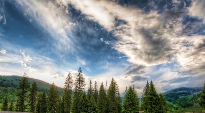 18 Breathtaking Photos Of Wild Horses Around The Globe