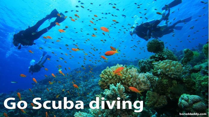 Go Scuba diving