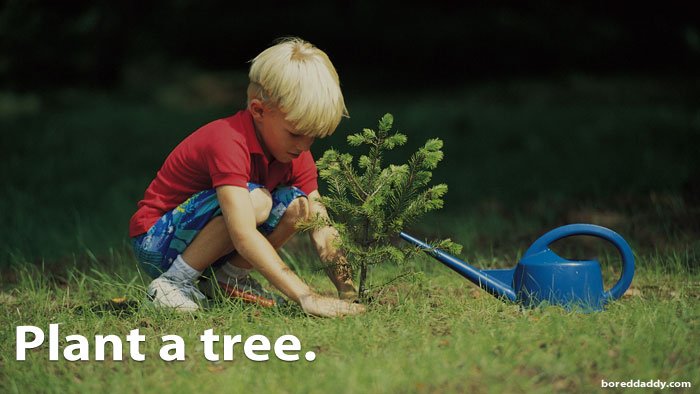 Plant a tree.