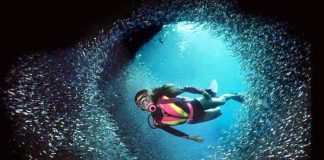 Dive Into 25 Spectacular Underwater Instagram Photos