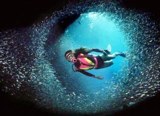 Dive Into 25 Spectacular Underwater Instagram Photos