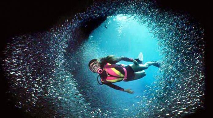 Dive Into 25 Spectacular Underwater Instagram Photos