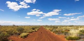 Australia’s 10 deadliest creatures