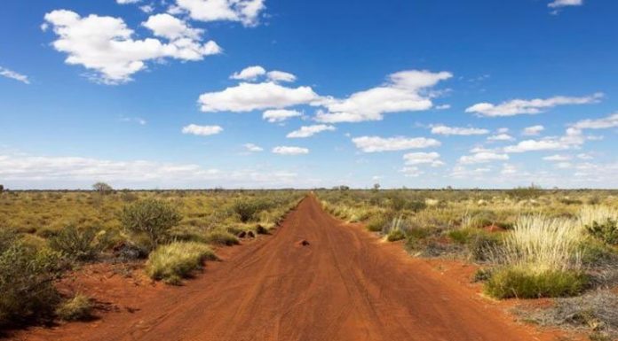 Australia’s 10 deadliest creatures