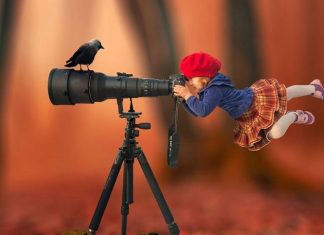 Stunning Digital Artworks That Will Take You in the World of Dreams