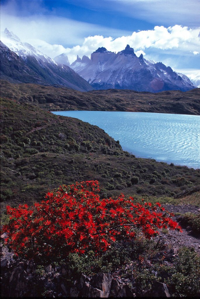 Tierra del Fuego, Lago Grey, Chile (by transalper)