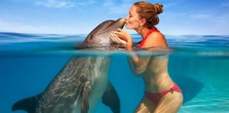 Sweet collection of Beautiful Girls Kissing Animals