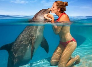 Sweet collection of Beautiful Girls Kissing Animals