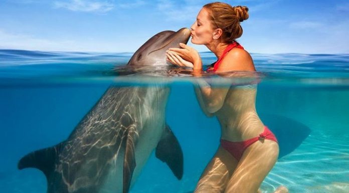 Sweet collection of Beautiful Girls Kissing Animals