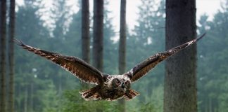 30 Most popular photography on Reddit Most popular photography