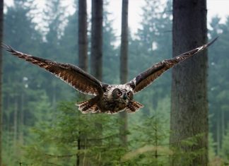 30 Most popular photography on Reddit Most popular photography