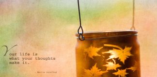 What Makes You Different Makes You Beautiful – Amazing quotes