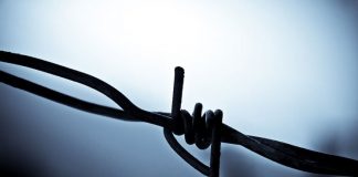 12 Lies People Love to Tell You