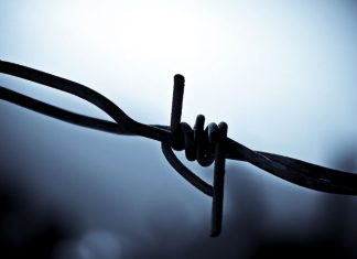 12 Lies People Love to Tell You