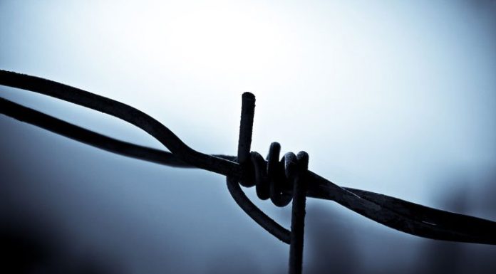 12 Lies People Love to Tell You