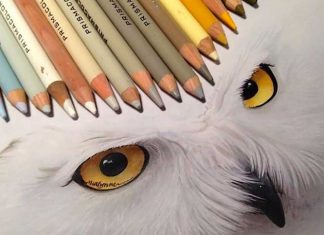 Incredible Photorealistic Illustrations by Karla Mialynne