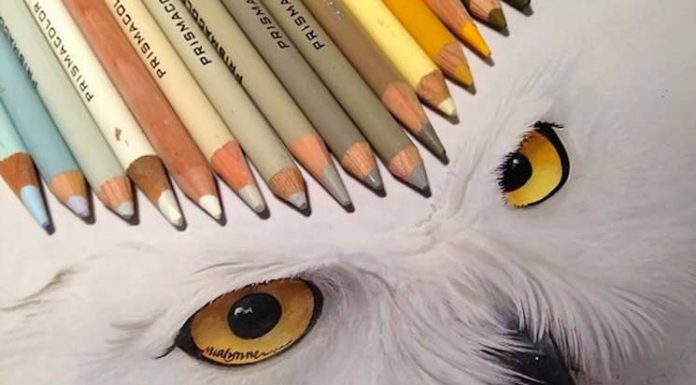 Incredible Photorealistic Illustrations by Karla Mialynne