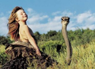 The Girl that was raised in the Wild