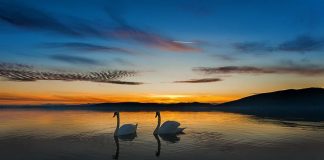 30+ Tips for a Successful and Goal Driven Life