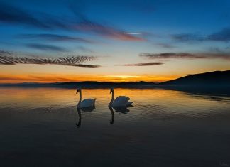 30+ Tips for a Successful and Goal Driven Life