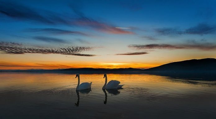 30+ Tips for a Successful and Goal Driven Life