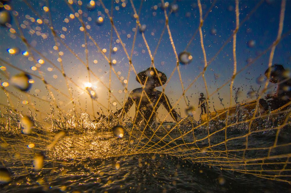 Through The Net by Pyiet Oo Aung