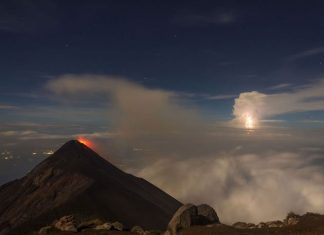 The Moment – Best shots chosen by National geographic’s Editors