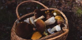 This Culture Mourns Their Lost Loved Ones With A Unique Burial Process. Baskets Phoots