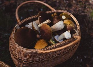 This Culture Mourns Their Lost Loved Ones With A Unique Burial Process. Baskets Phoots