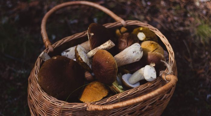 This Culture Mourns Their Lost Loved Ones With A Unique Burial Process. Baskets Phoots