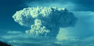 19 Reasons Why You Should Never Ever Mess With Nature. It’s a Beautiful Yet Brutal Thing