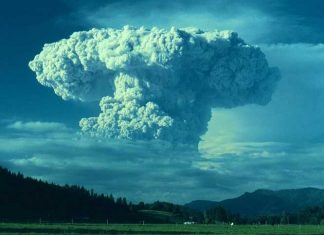 19 Reasons Why You Should Never Ever Mess With Nature. It’s a Beautiful Yet Brutal Thing