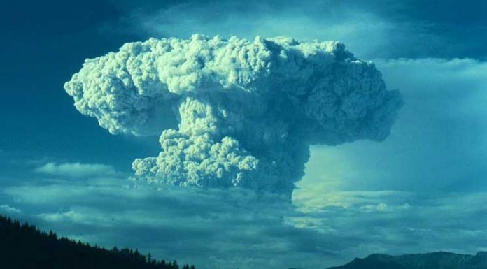 19 Reasons Why You Should Never Ever Mess With Nature. It’s a Beautiful Yet Brutal Thing