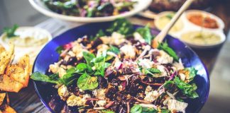 Kids Were Abusing This Poor Dog With Sticks. They Had No Idea What Was About To Happen… OMG Food Veg