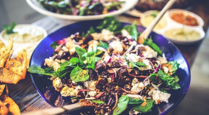 Kids Were Abusing This Poor Dog With Sticks. They Had No Idea What Was About To Happen… OMG Food Veg