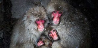 Daily Dozen – Some of the best photos chosen by National Geographic editors. National Geographic