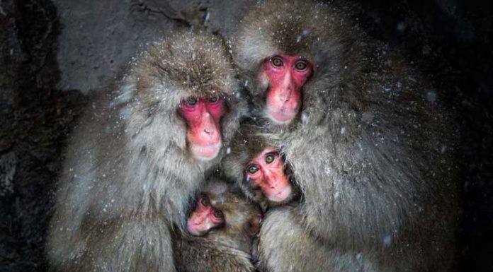 Daily Dozen – Some of the best photos chosen by National Geographic editors. National Geographic