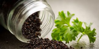 18 Animals With Ridiculously Misleading Names. Where Did They Come Up With These? Recipebread Kitchen